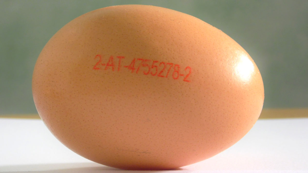 Qué significa el código de los huevos o cómo saber la calidad y procedencia del producto