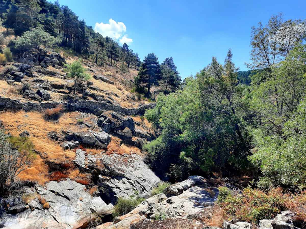 Zona natural de agua Madrid