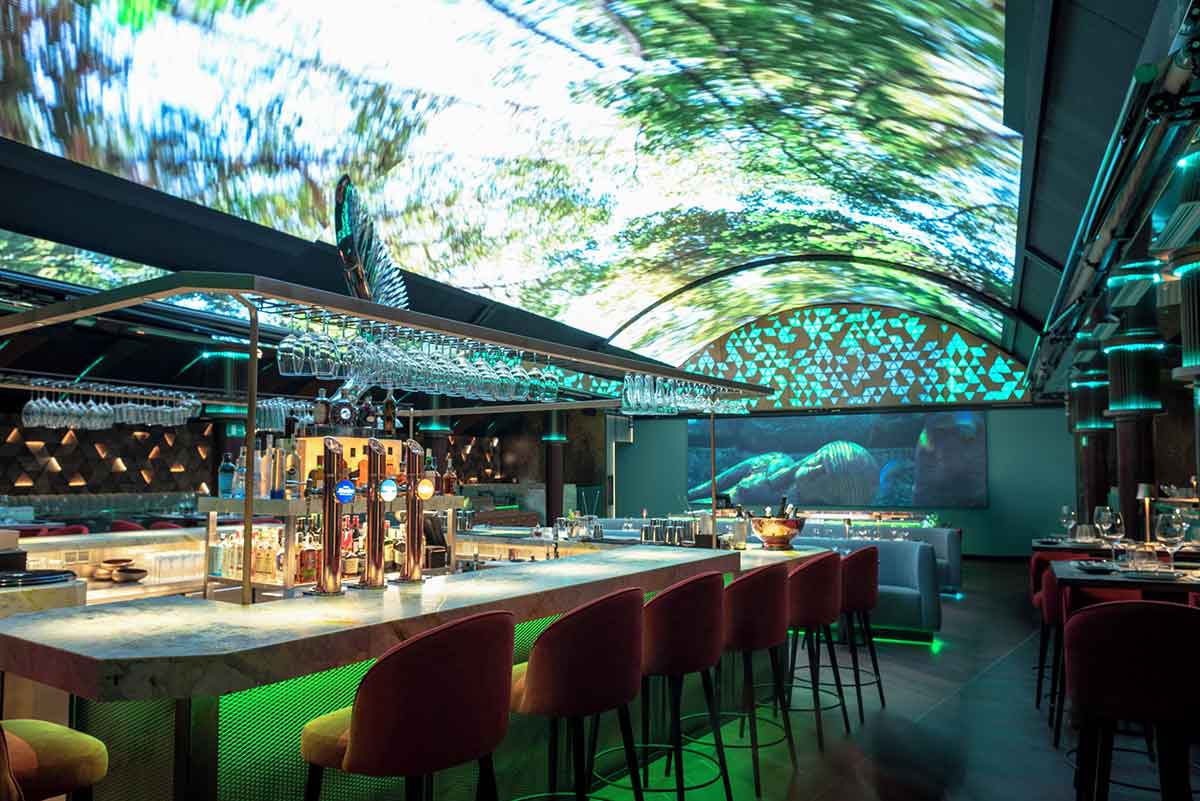 Decoración de quintoelemento