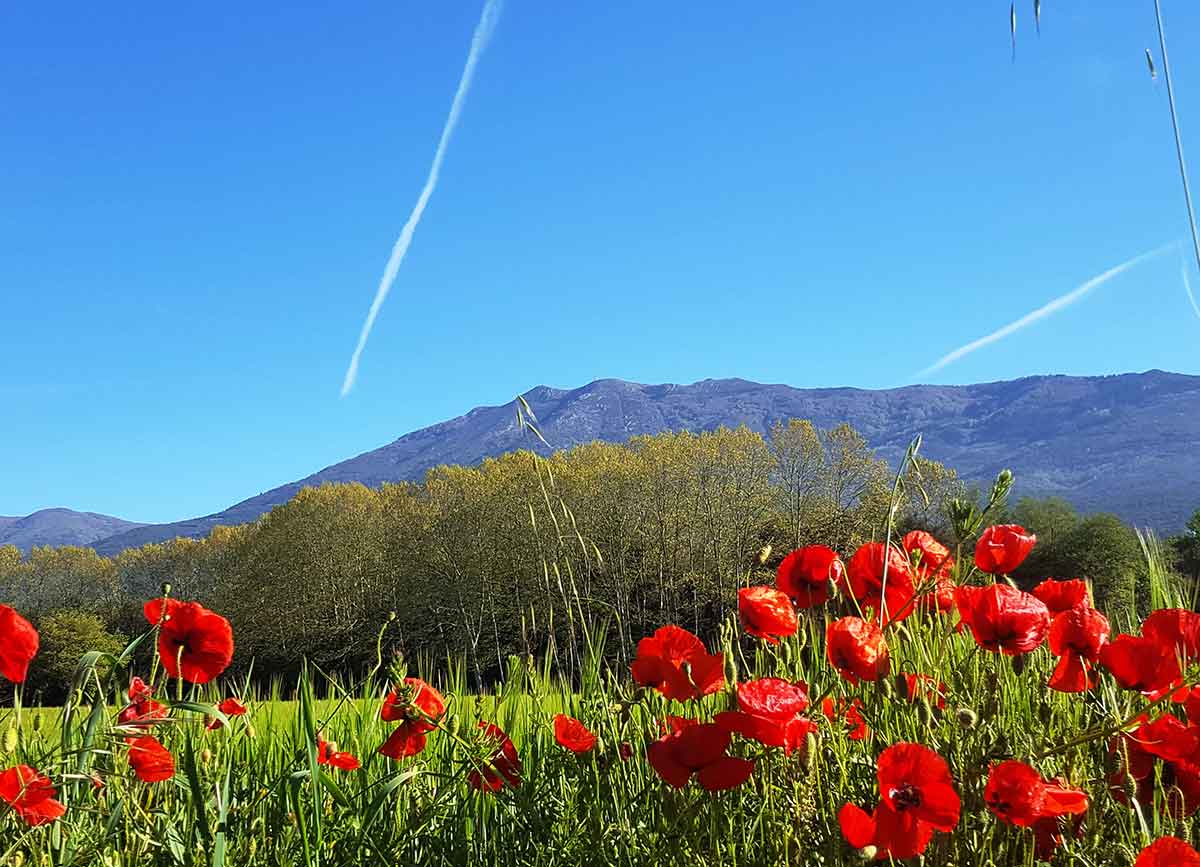 Excursiones en Montseny