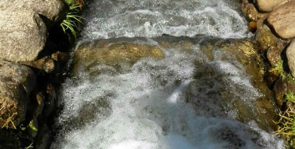 Cambio de piscina natural