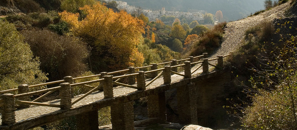 Puente del barranco
