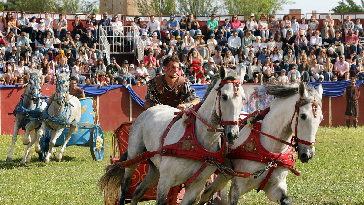 Actividades con caballos en Alcalá