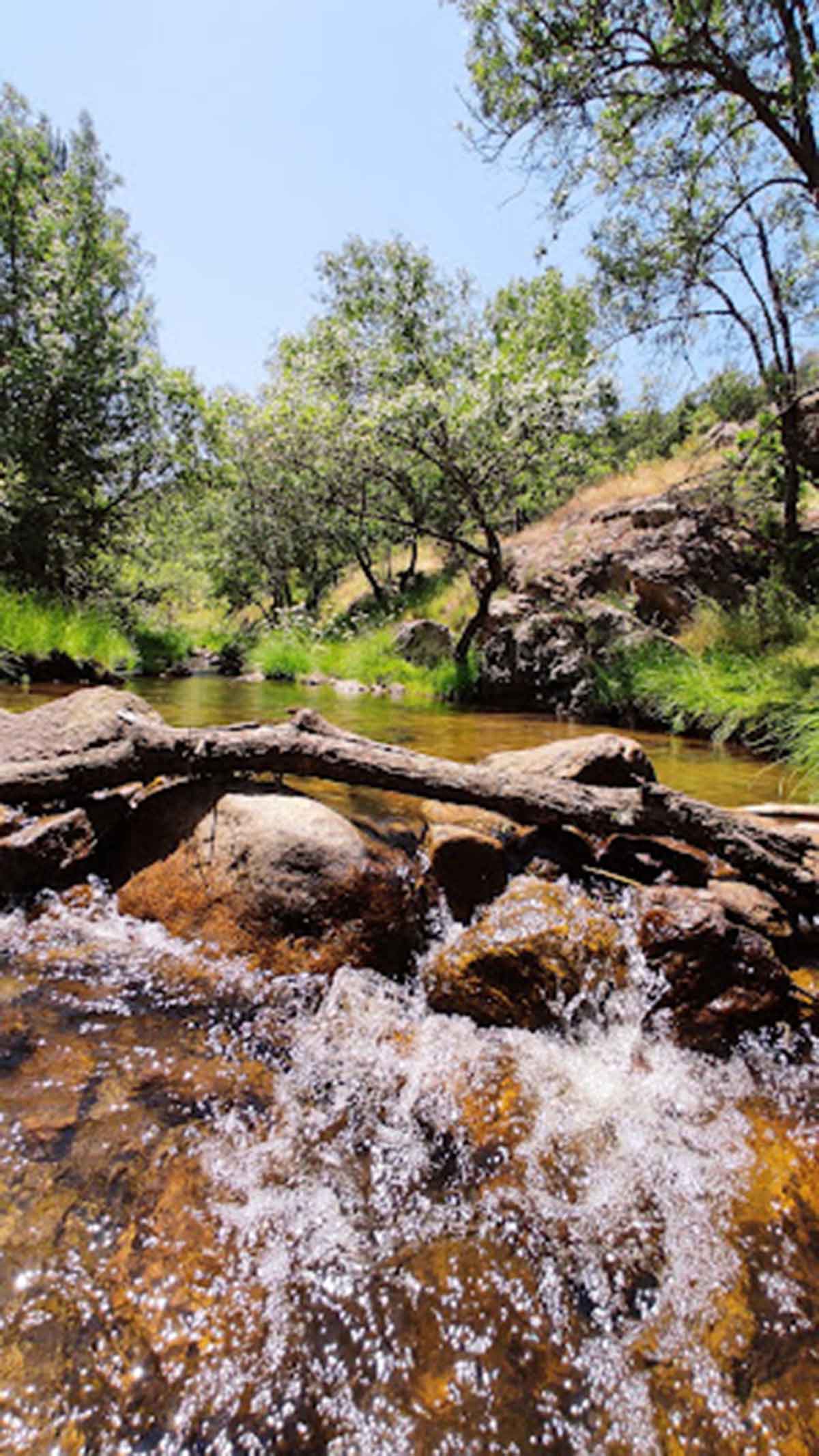 Presillas de Canencia