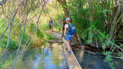 La impresionante ruta del Zarzalar para caminar por el agua a través de puentes y pasarelas de madera