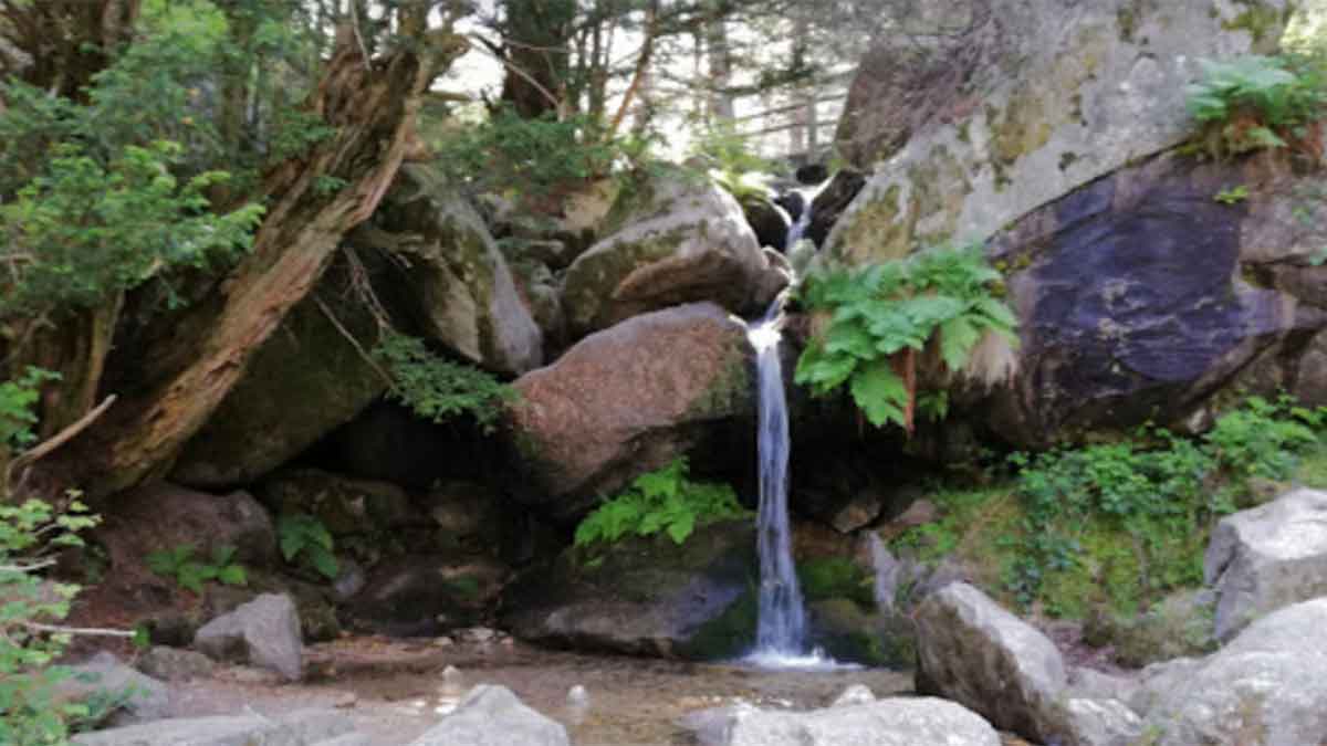 Chorro de la ducha de los alemanes