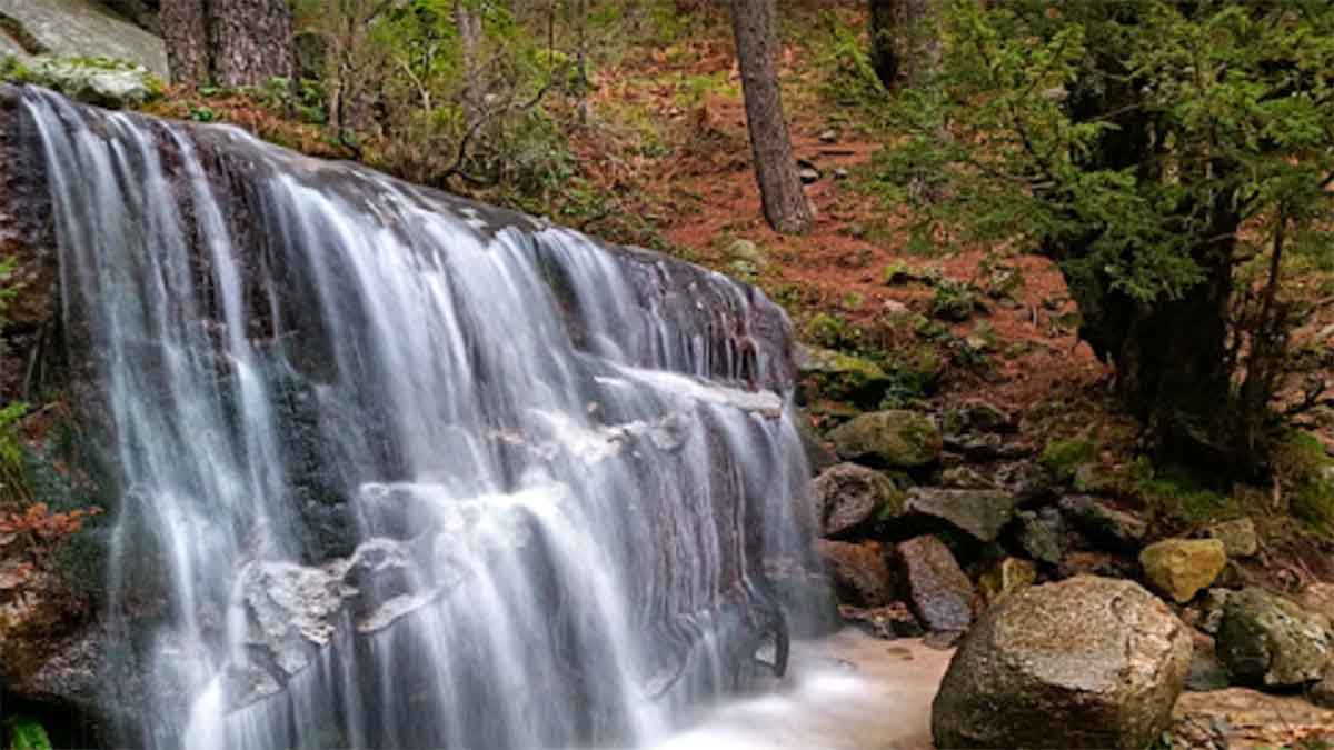 Ducha de los alemanes