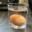 Cuando un huevo flota en el agua, ¿está bueno o malo?