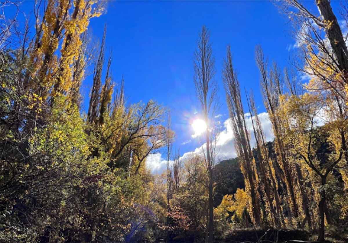 Vegetación de Ebrón