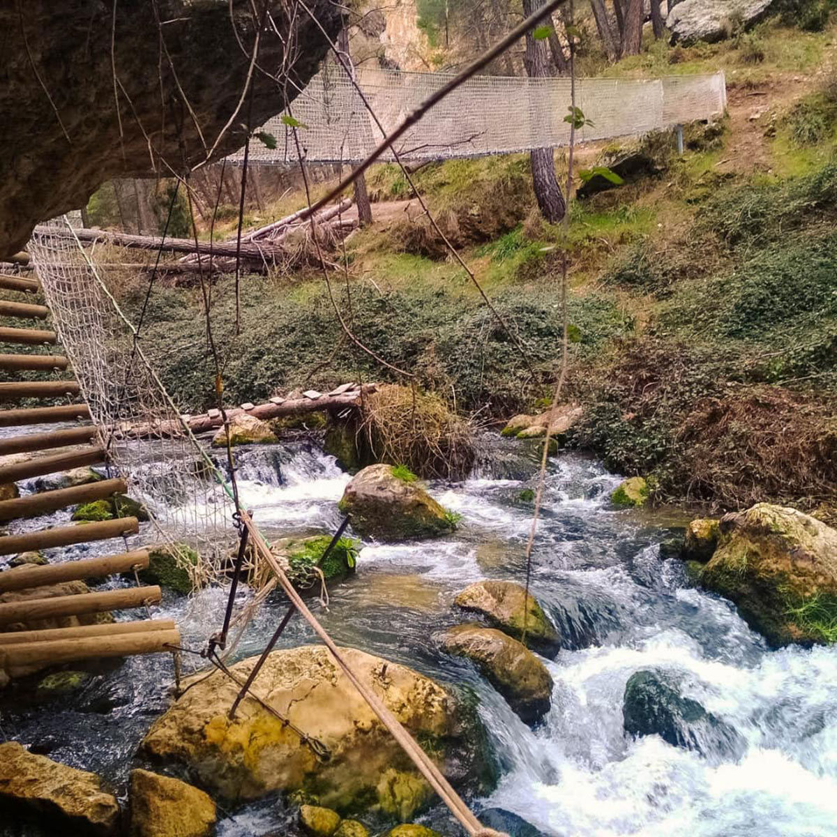 Escalera con troncos