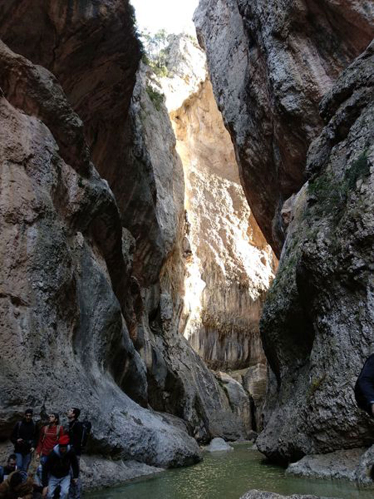 Cañón con paredes de roca