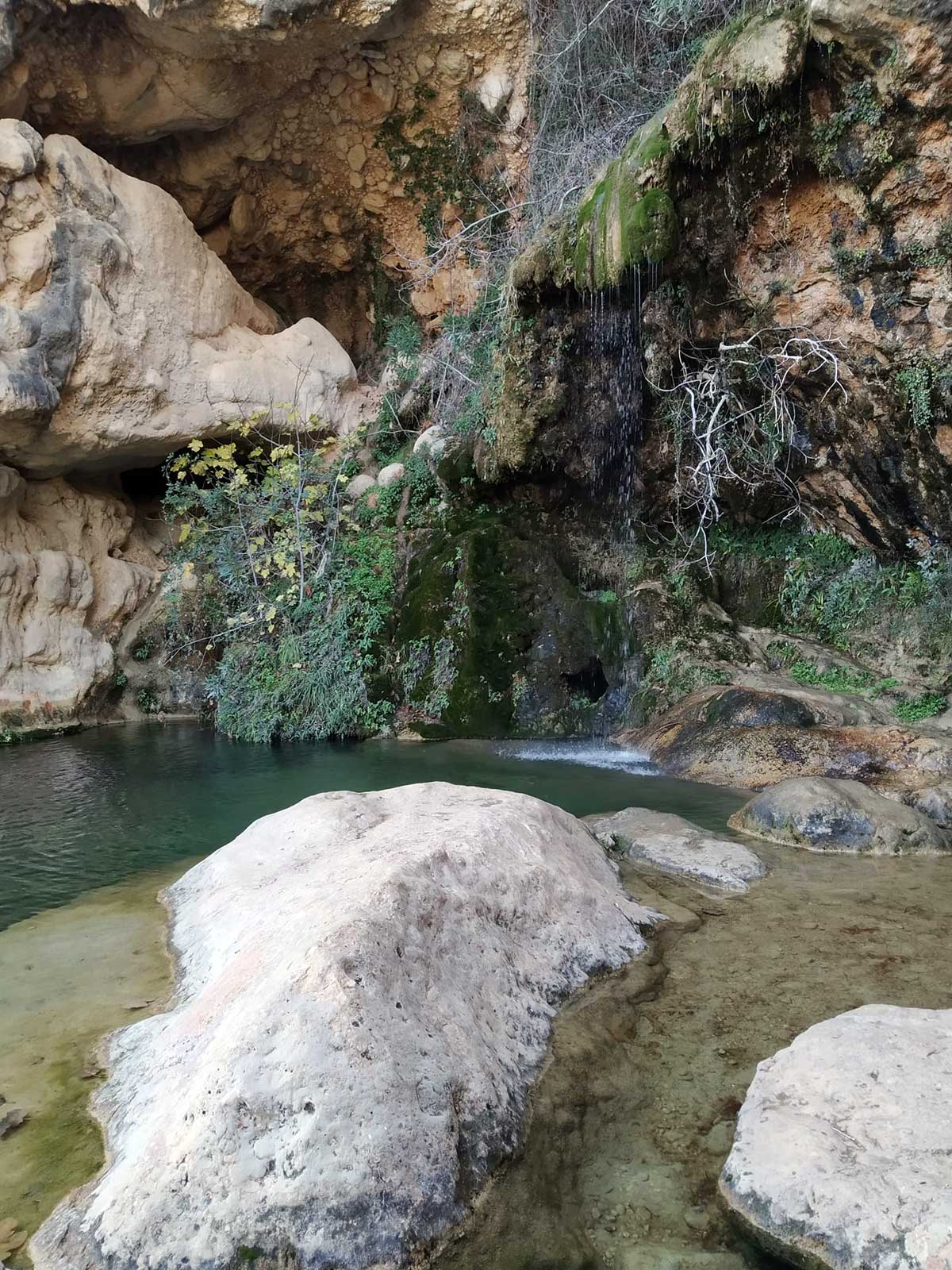 Zona de piscina natural