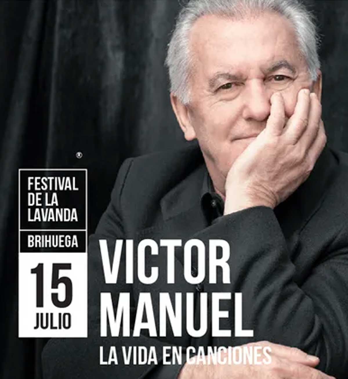Cartel de Víctor Manuel Festival de la Lavanda.