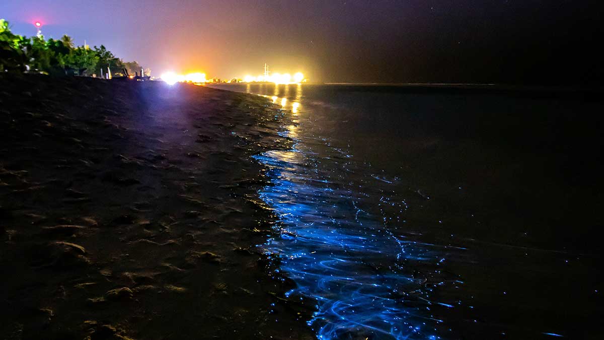 Agua bioluminiscente