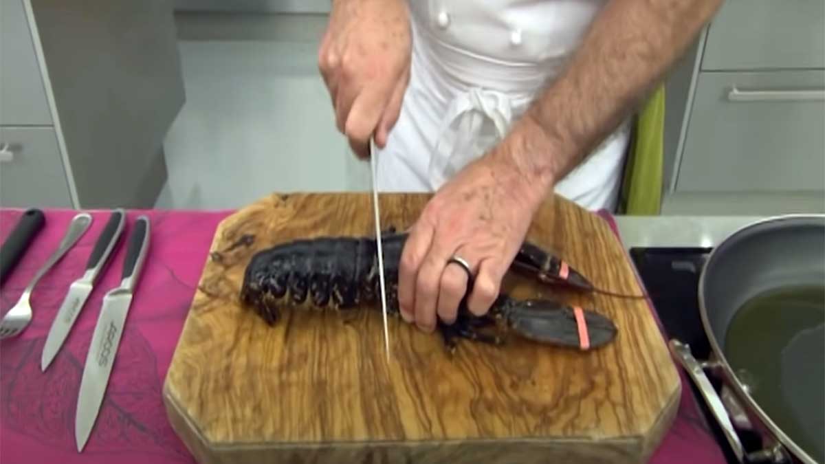 Primer corte del bogavante