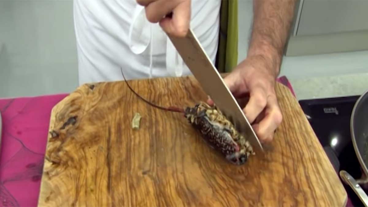 Corte de cabeza del bogavante