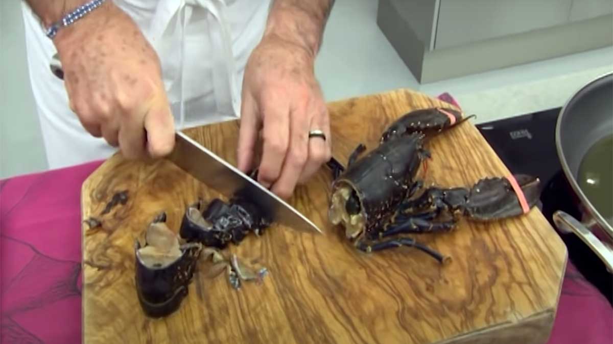 Corte del cuerpo de bogavante