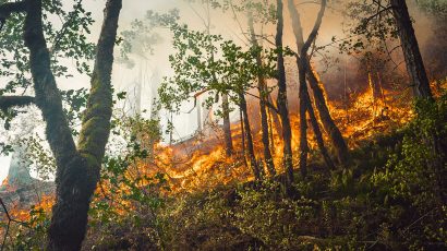 Cárcel y multa por provocar un incendio forestal: Estas son las sanciones