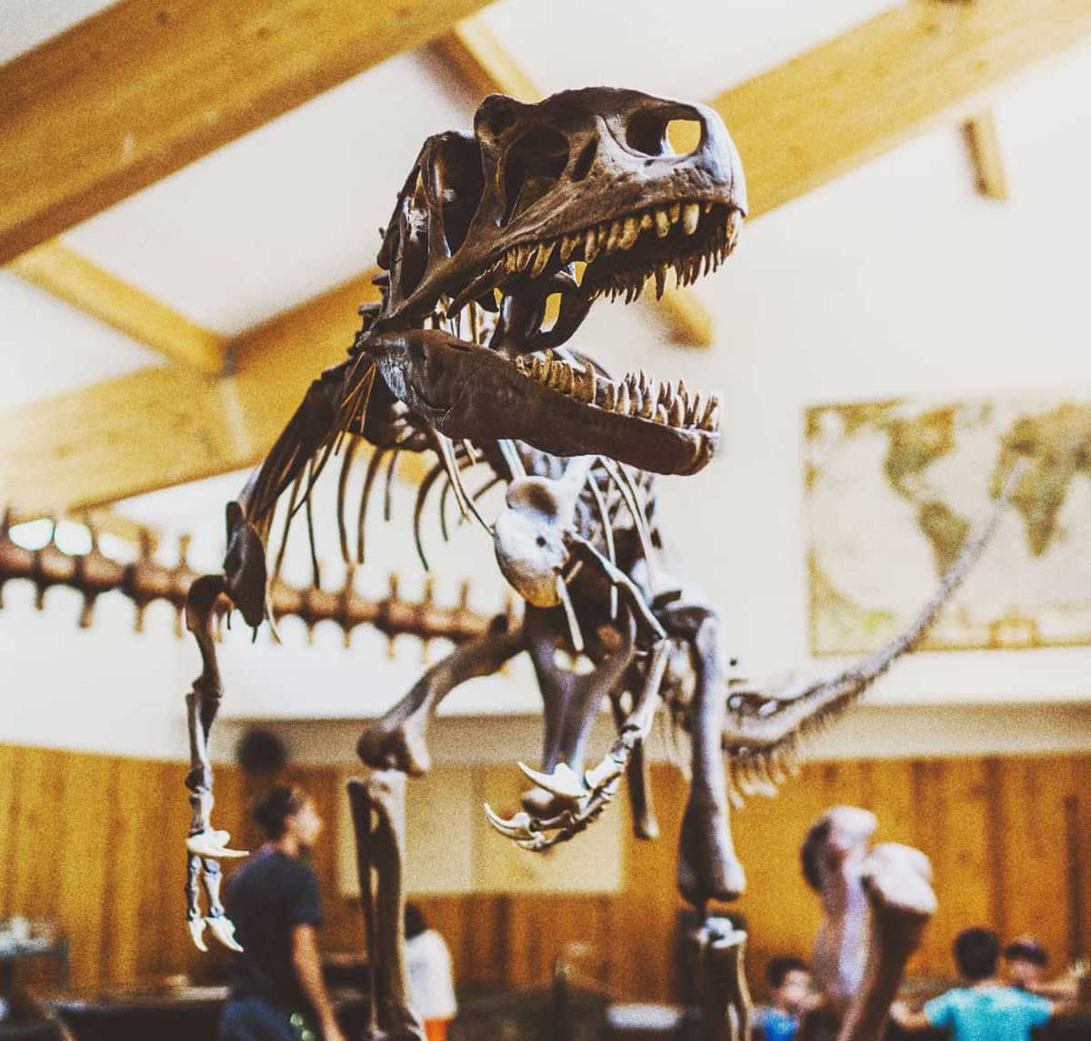 Interior del museo de Dinosaurios