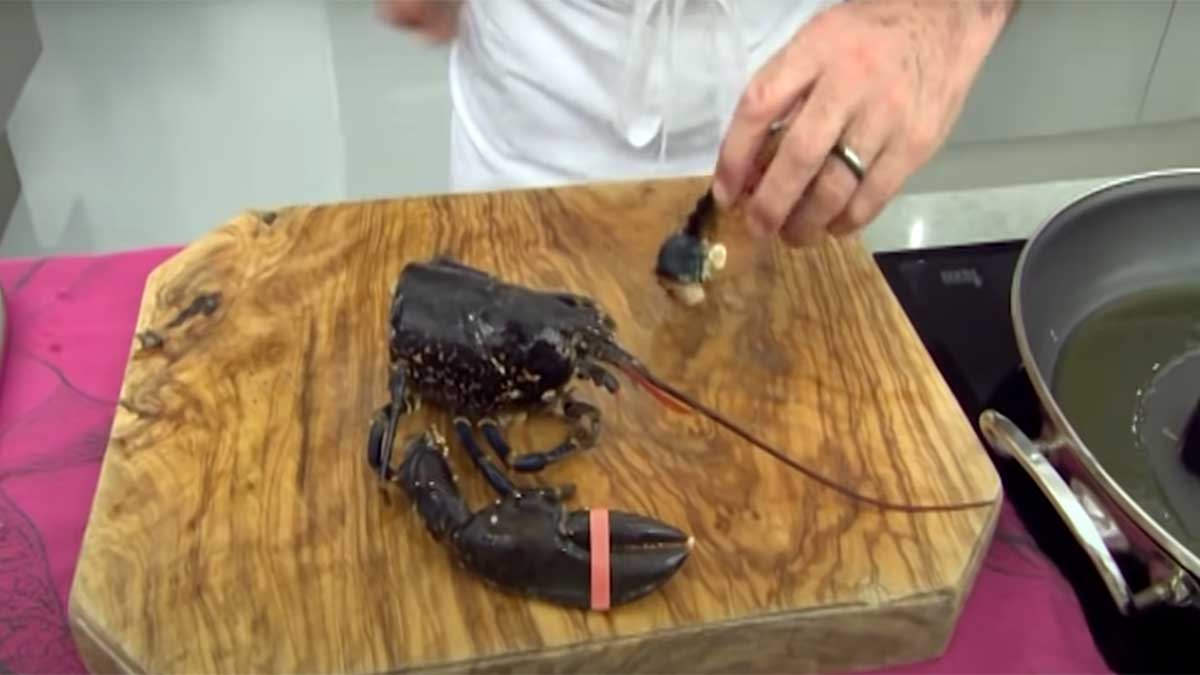 Quita las pinzas del bogavante