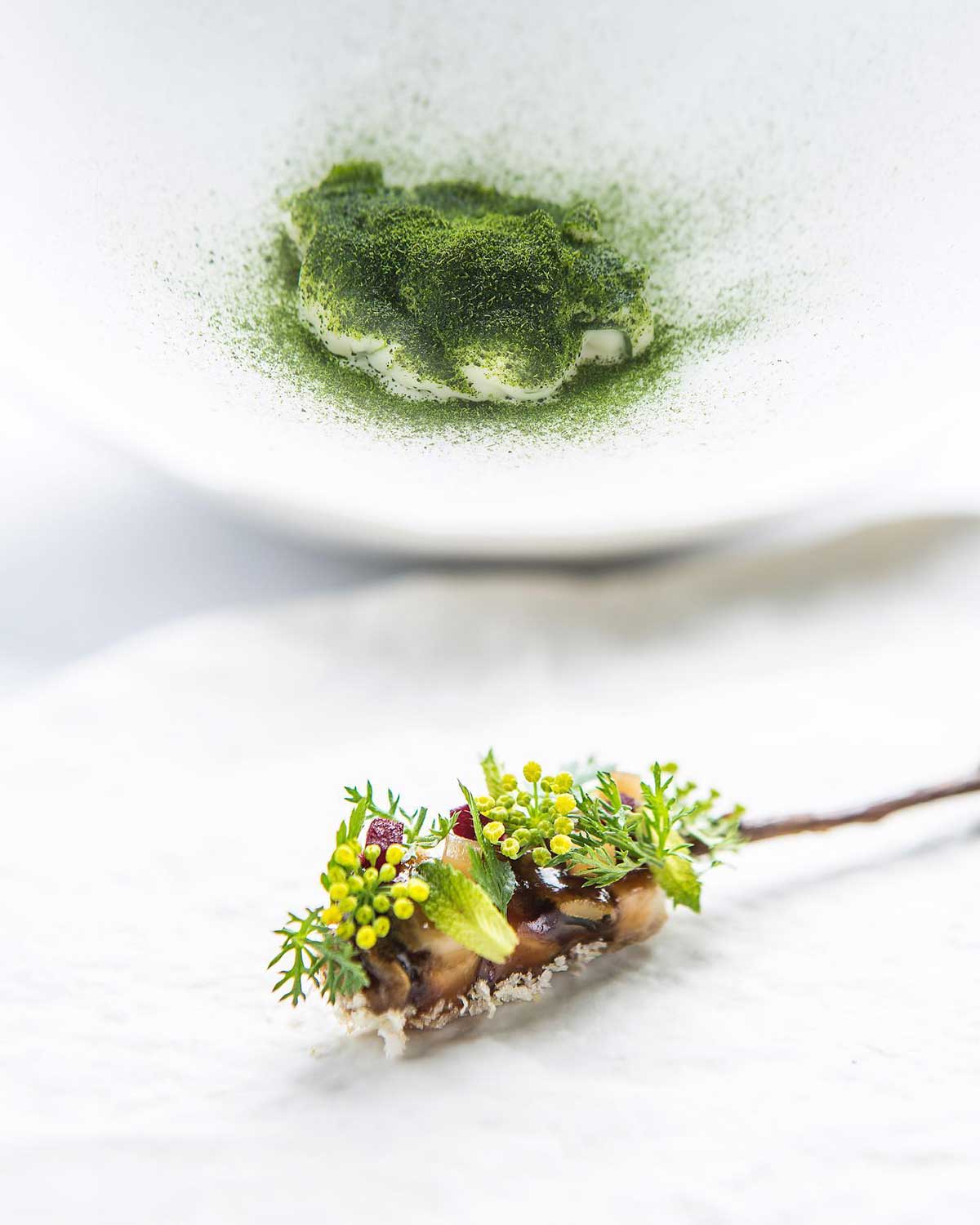 Plantas comestibles del mar