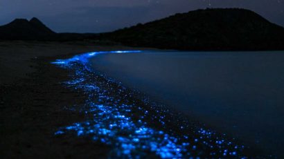 Dónde bañarse de noche en estas 8 playas bioluminiscentes entre aguas brillantes