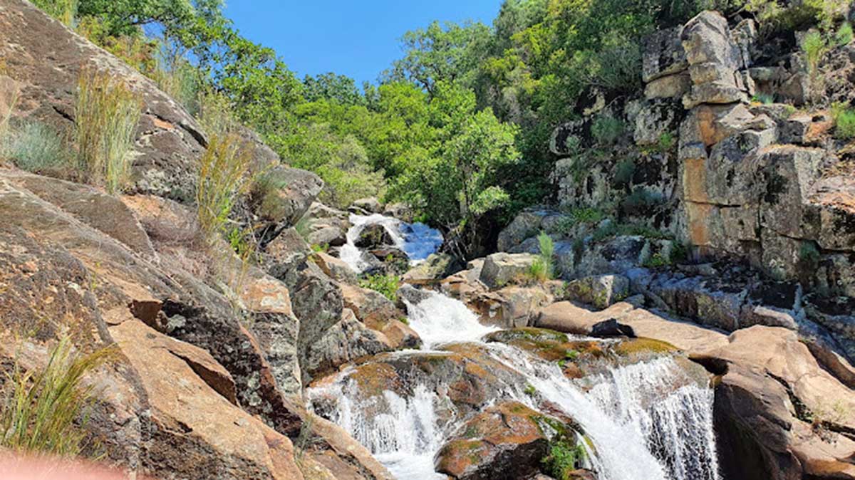 Vegetación y caudal del agua
