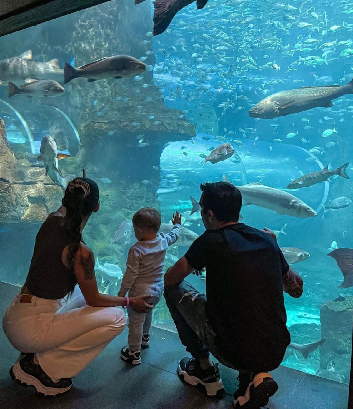 Acuario de San Sebastián