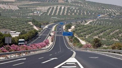 Por qué se colocan las adelfas en la mediana de las autovías.