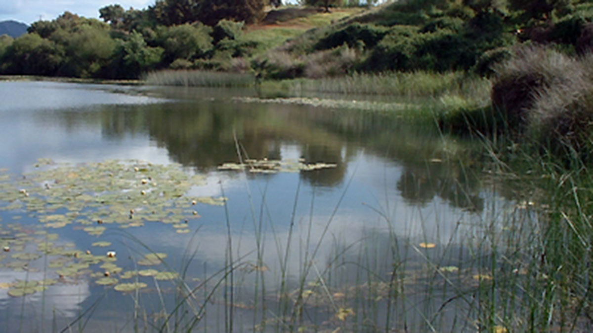 Embalse rio Bullaque