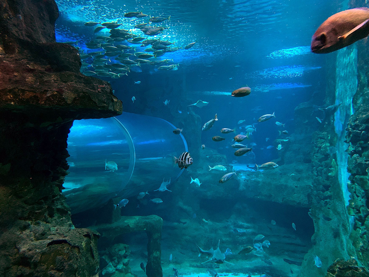 Acuario de San Sebastián