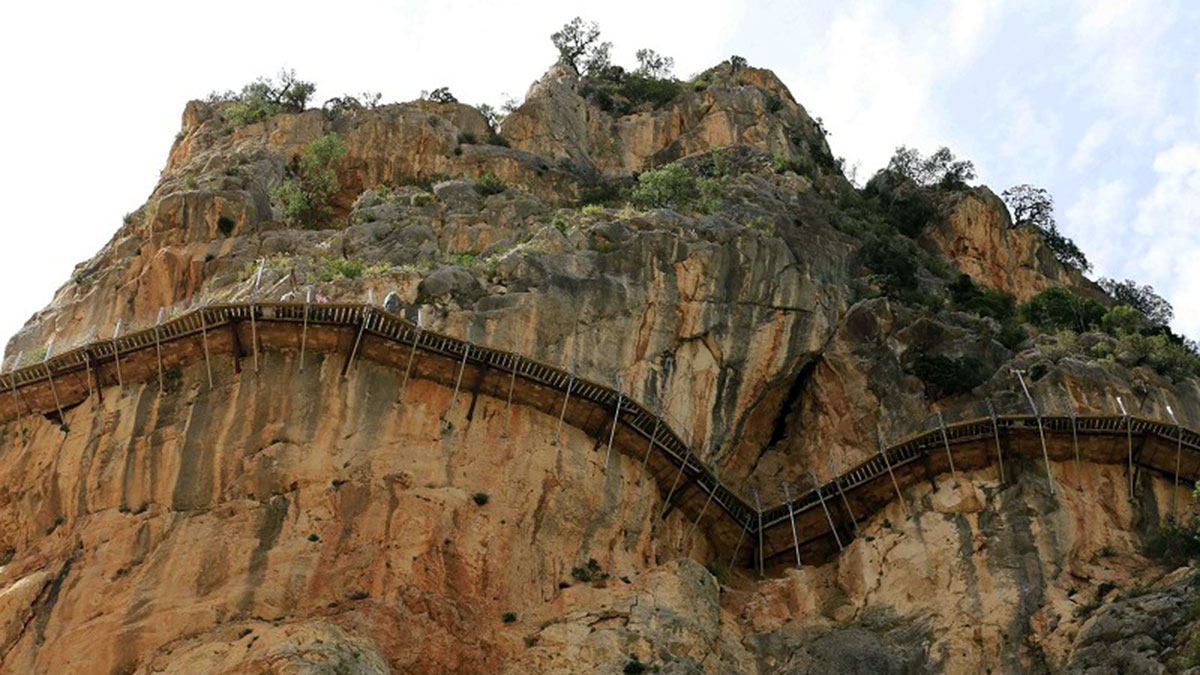 Vista de las pasarelas