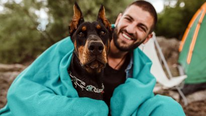 3 collares para perros que están prohibidos a partir de septiembre