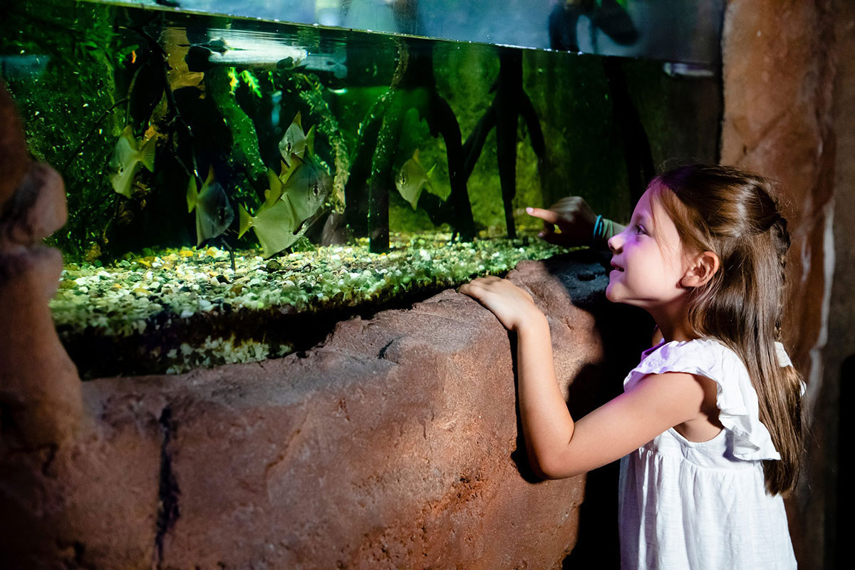 Niña en el acuario