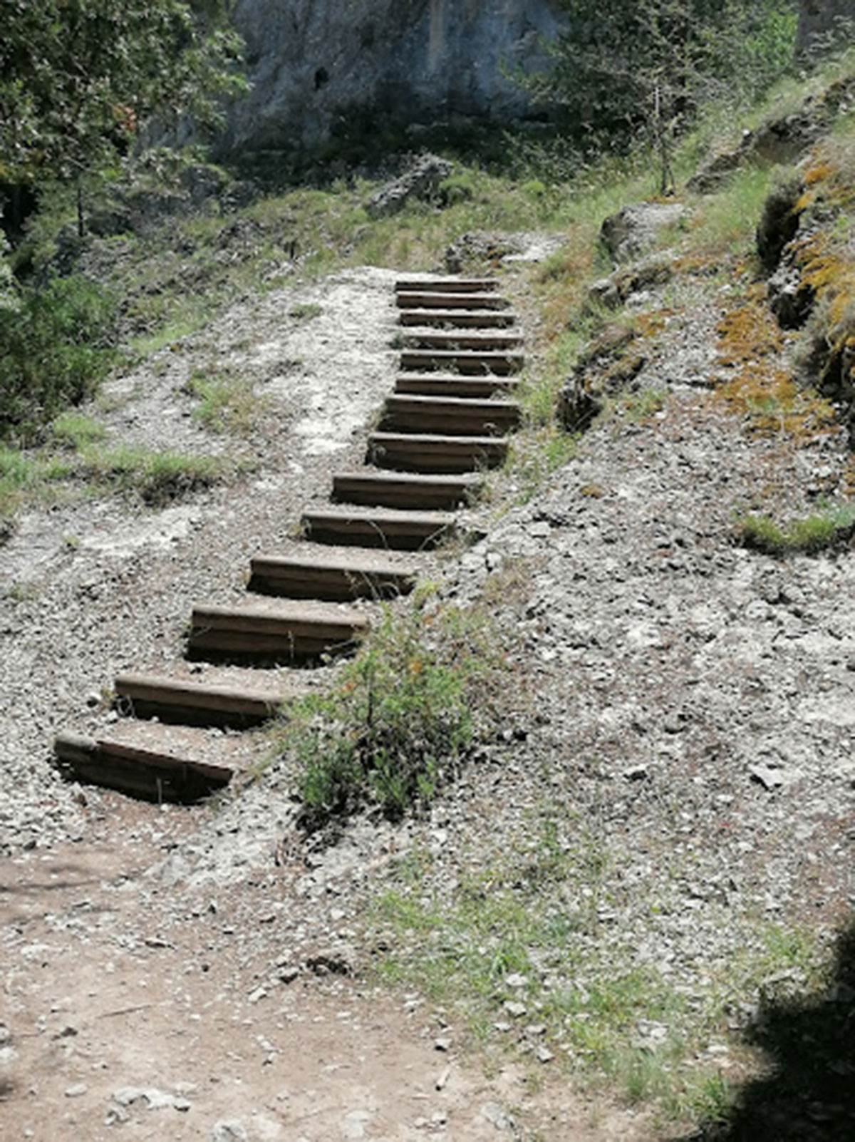 Escaleras naturales