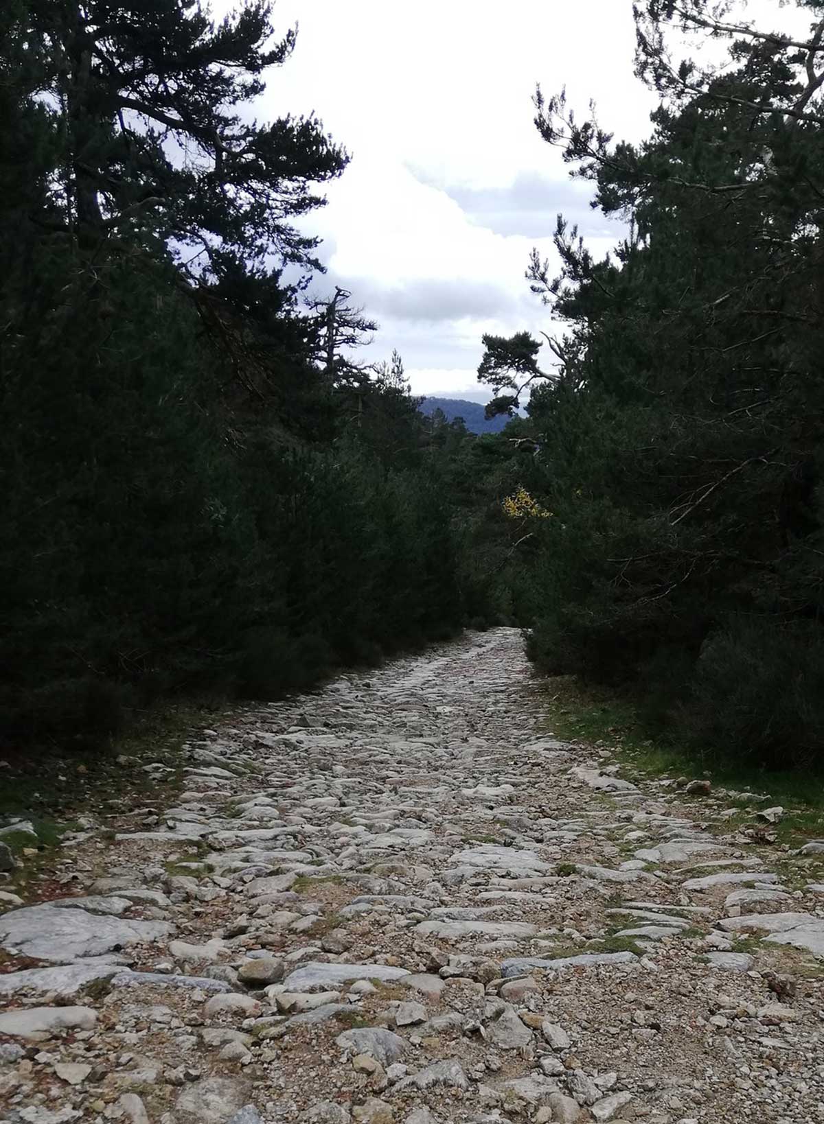 Calzada romana en el Puerto de la Fuenfría.