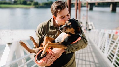 La Ley de Bienestar Animal entra en vigor sin en el seguro para perros y sin el curso obligatorio.