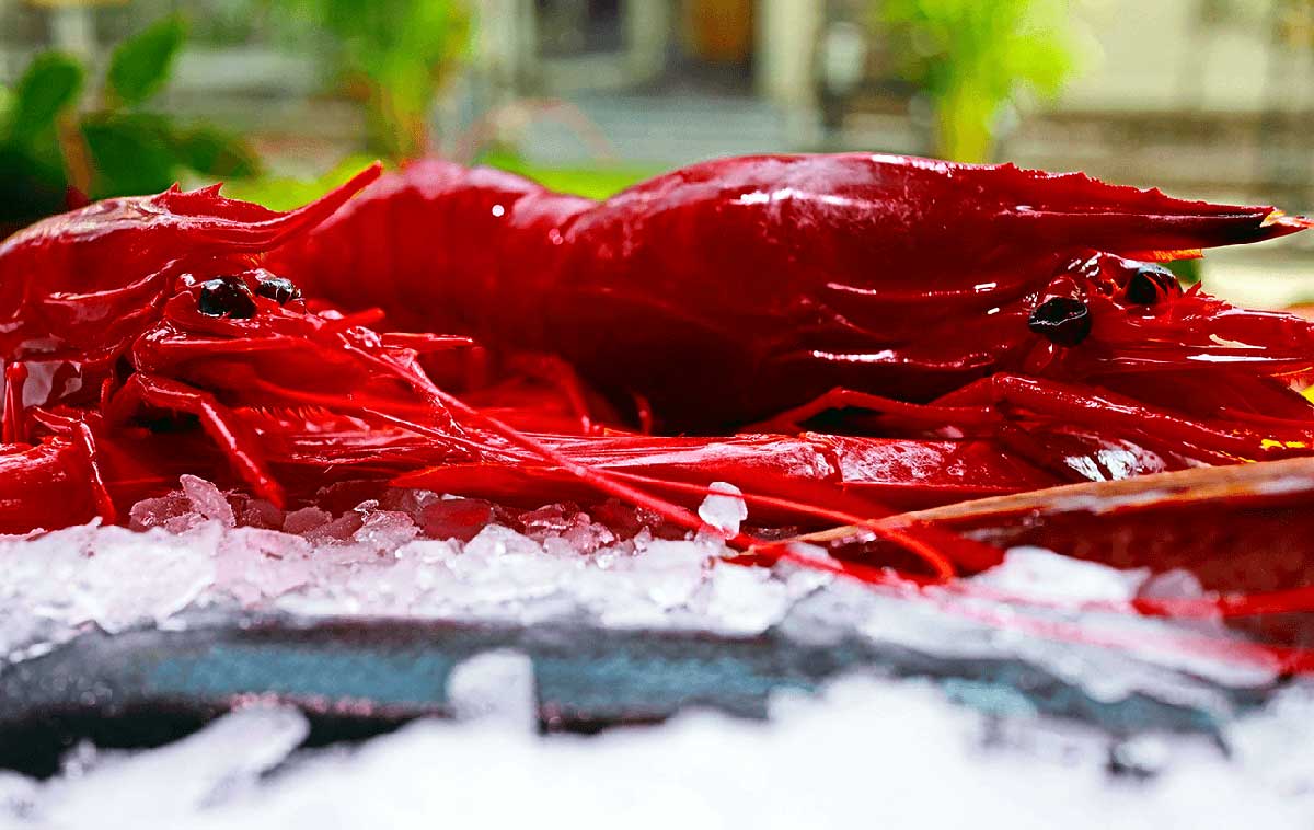 Marisquería Norte y Sur.