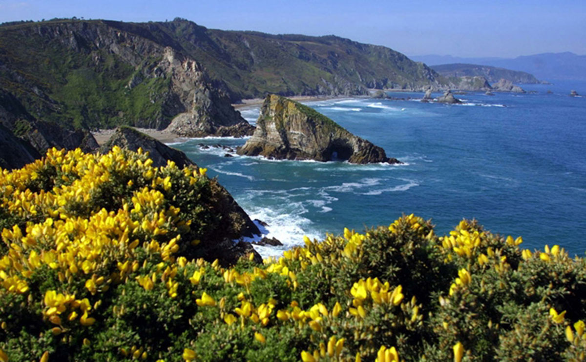 Paisaje de los acantilados