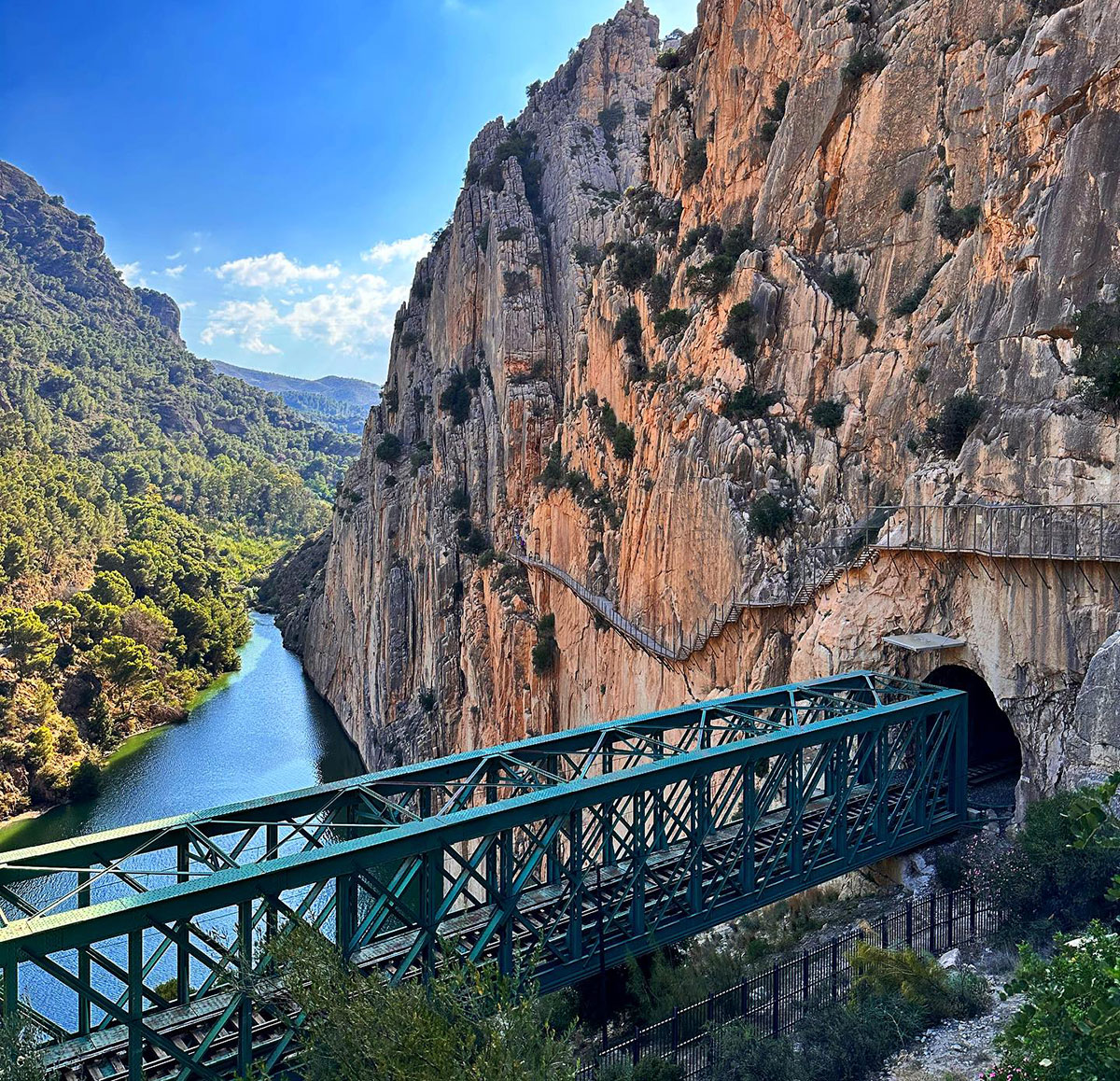 Pasarela colgante del camino