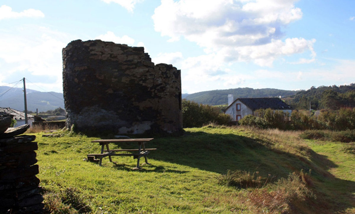 Vegetación y paisaje