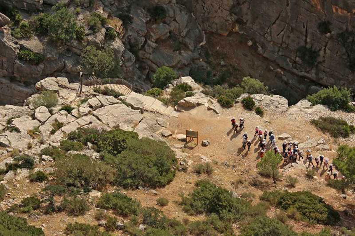 Vista desde arriba del camino