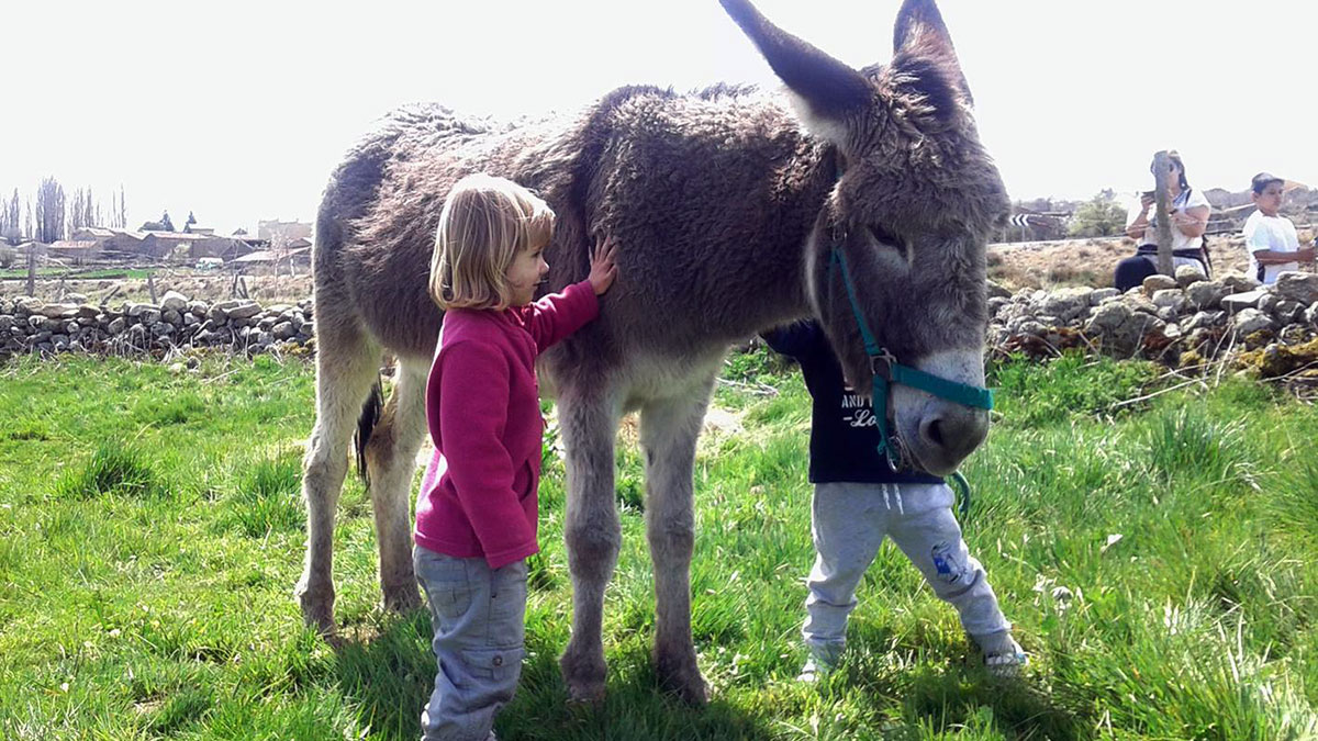 Niños con un burro