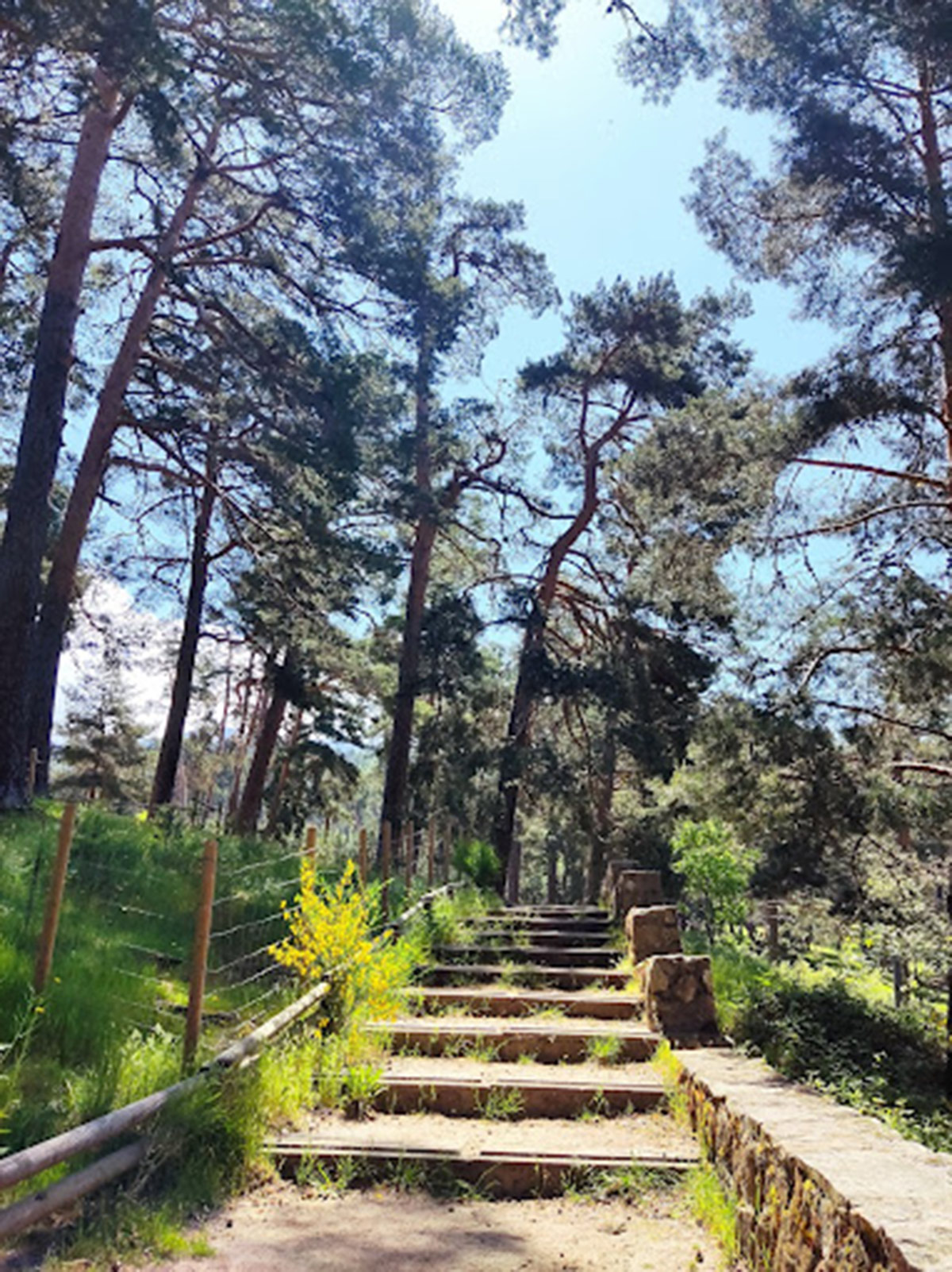 Camino de la ruta del asno