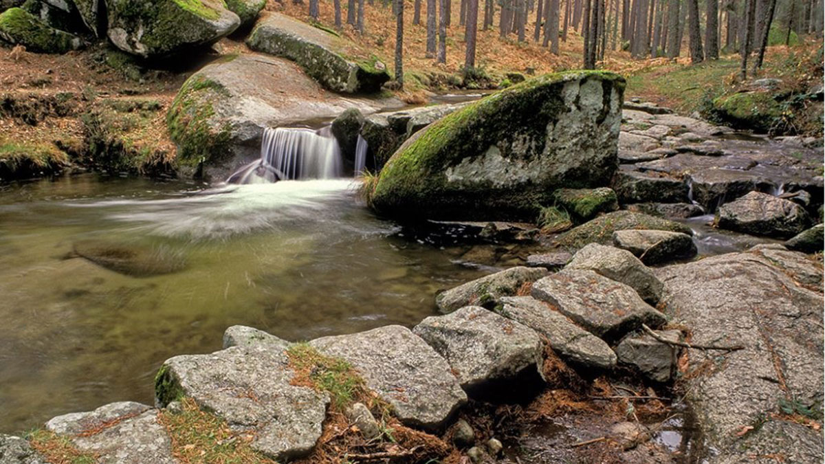 Zona de agua y pozas
