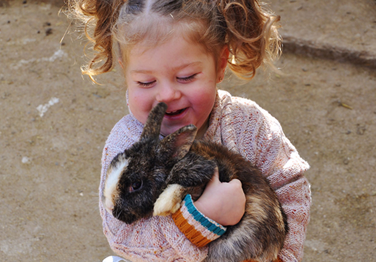 Niña con conejo