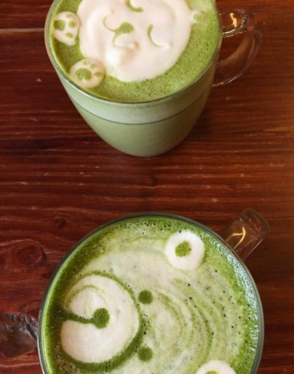 Matcha con panda