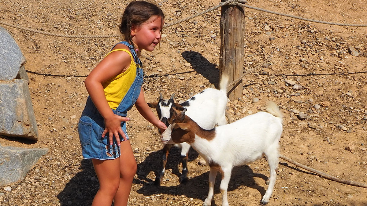 Niña con cabra pequeña