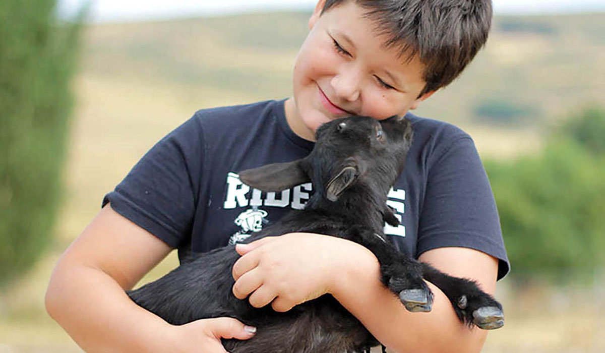 Niño con cabra