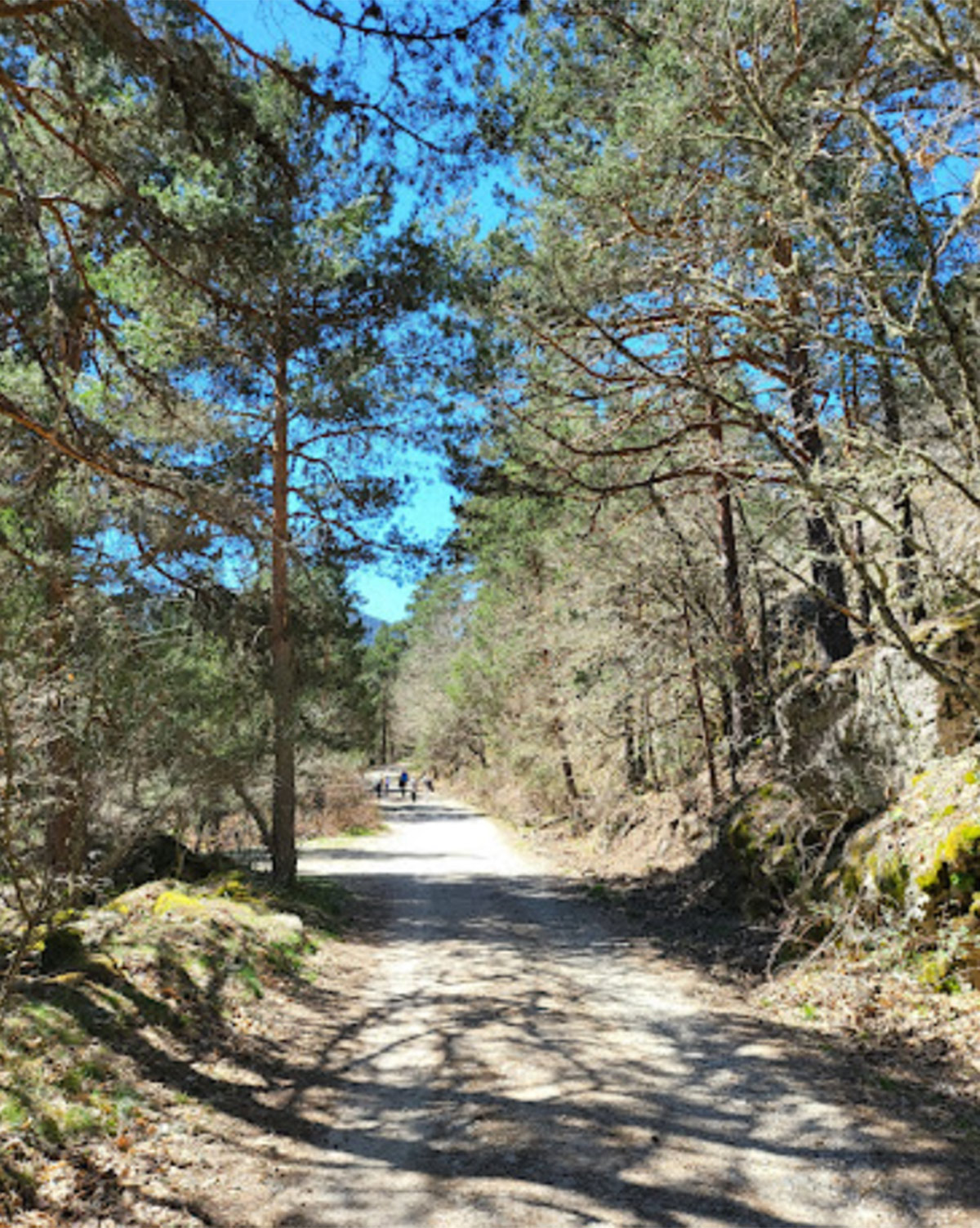 Caminos de angostura